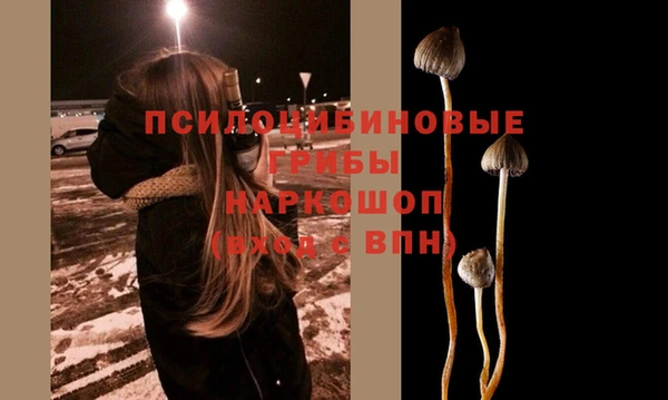 дмт Алексин